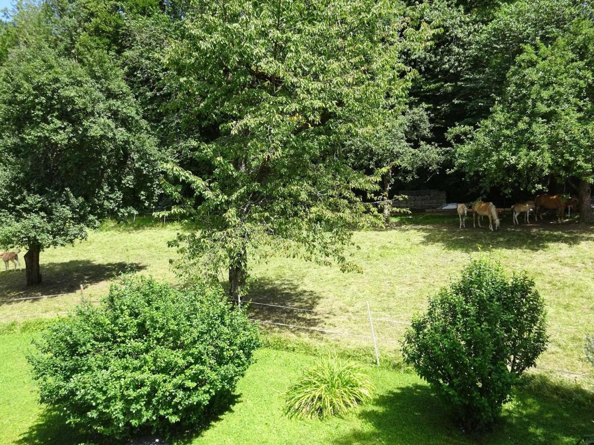 Ferienwohnungen Auhaus Bad Reichenhall Zewnętrze zdjęcie