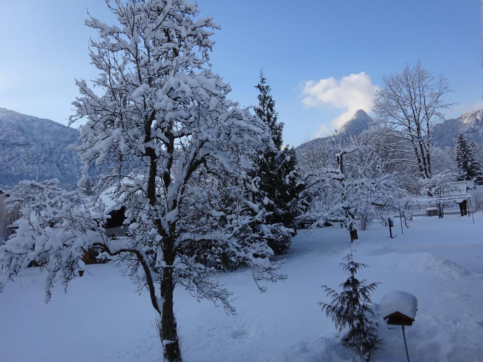 Ferienwohnungen Auhaus Bad Reichenhall Zewnętrze zdjęcie