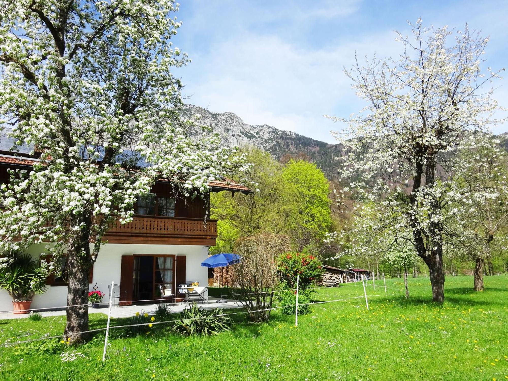 Ferienwohnungen Auhaus Bad Reichenhall Zewnętrze zdjęcie