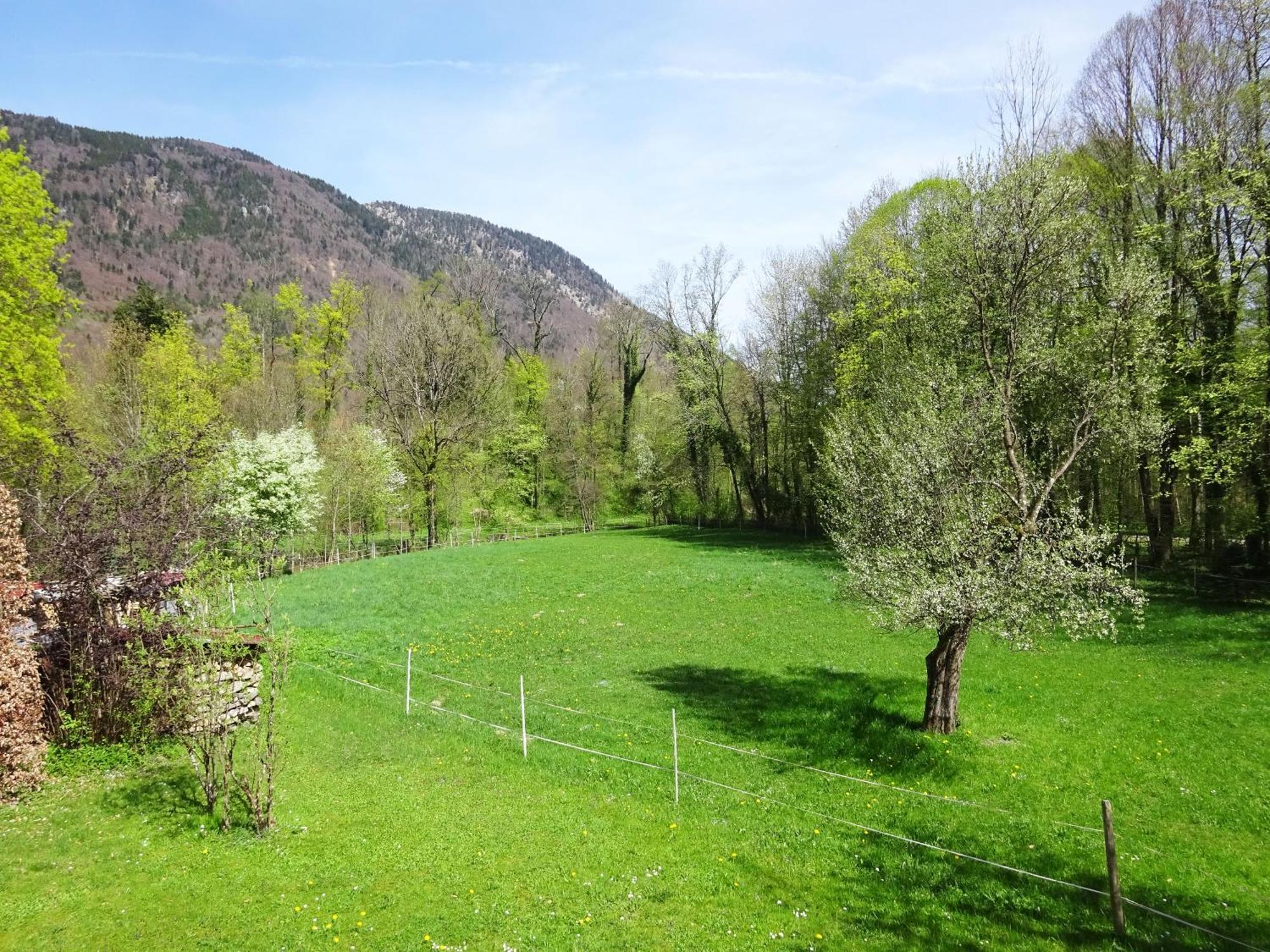 Ferienwohnungen Auhaus Bad Reichenhall Zewnętrze zdjęcie