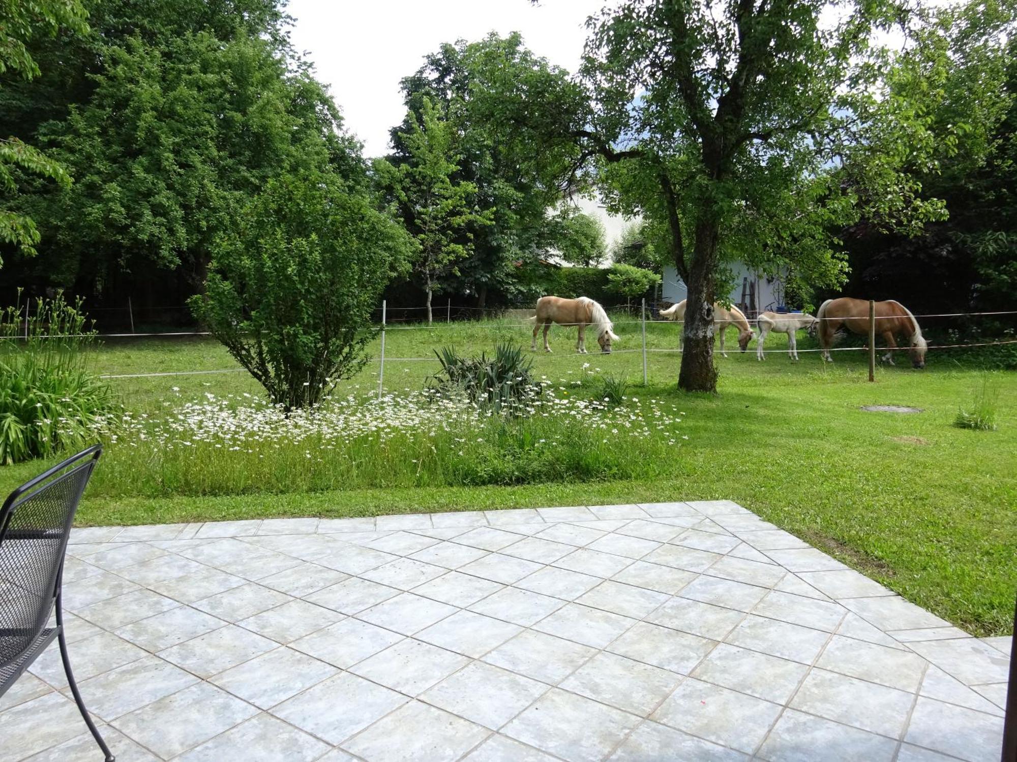 Ferienwohnungen Auhaus Bad Reichenhall Zewnętrze zdjęcie